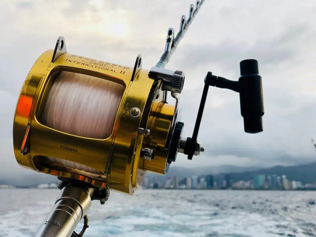 moulinette pêche